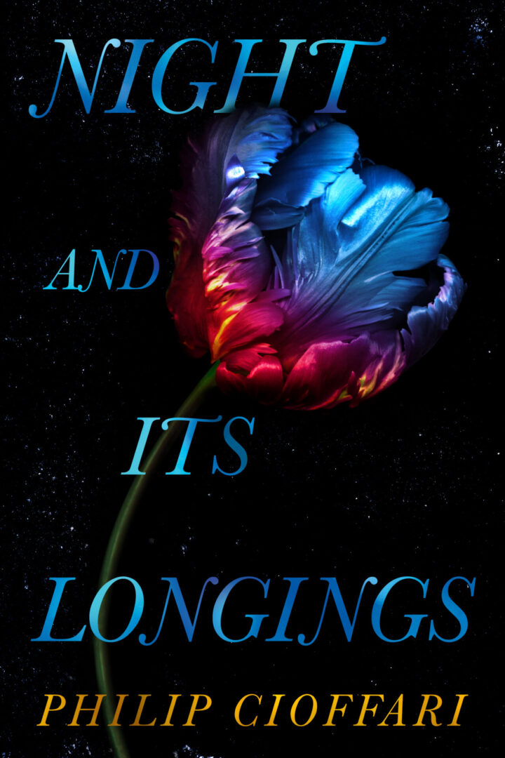 Night And Its Longings_cover 300dpi